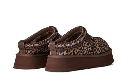 UGG Tazz Caspian