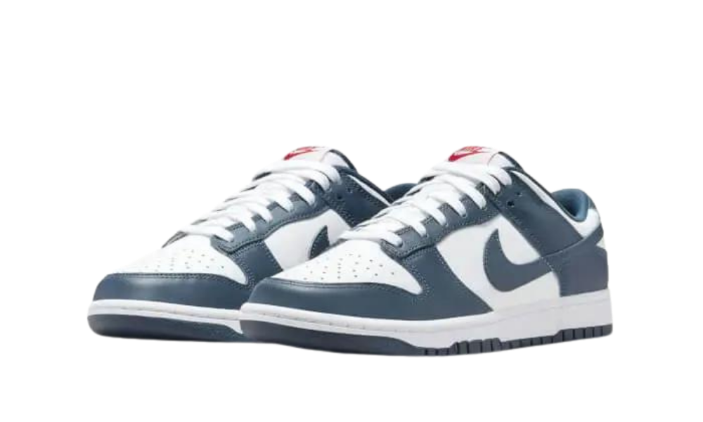 Nike Dunk Low Valerian Blue